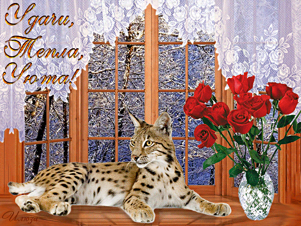 Postcard card warmth and comfort for your home pictures warmth and comfort to your home animation pictures be kind today and love the world good luck and warmth in the cold - free greetings on Fonwall