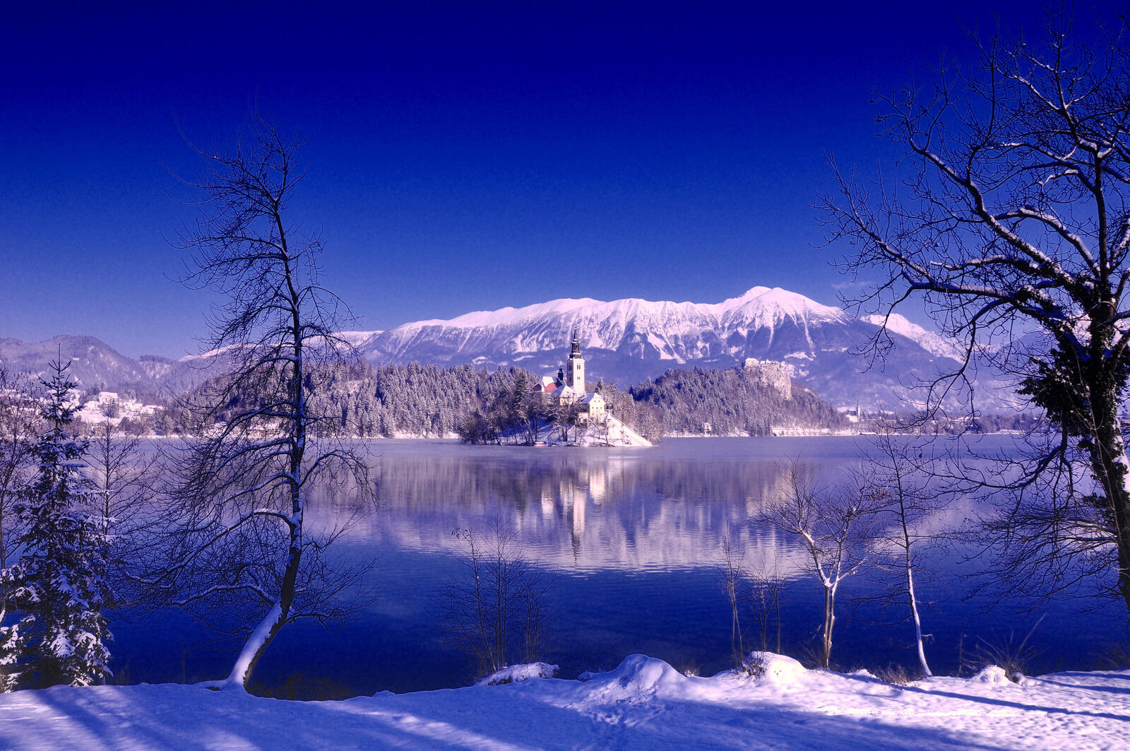 Wallpapers winter Lake Bled trees on the desktop