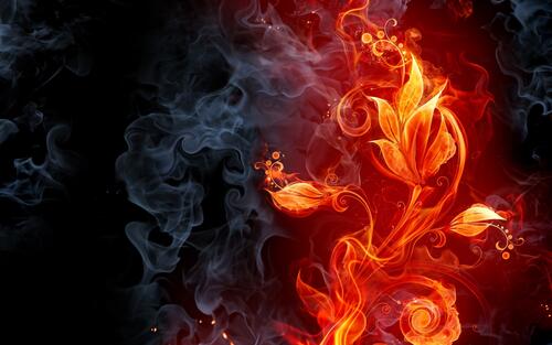 A fiery flower on a black background is smoky