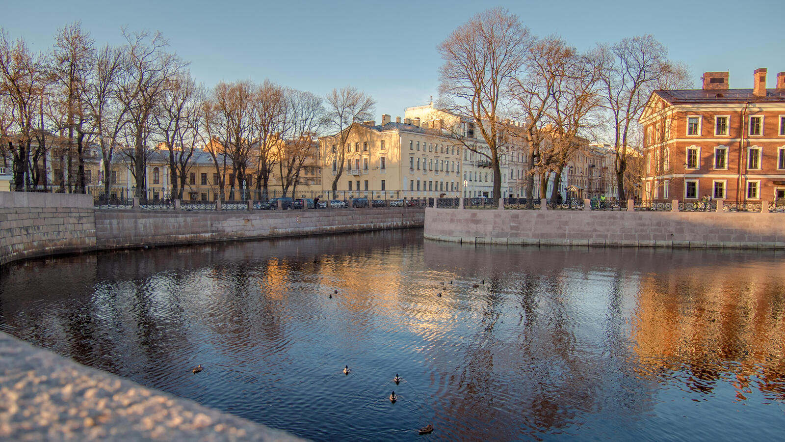 Wallpapers Saint-Petersburg Moika river ducks on the desktop