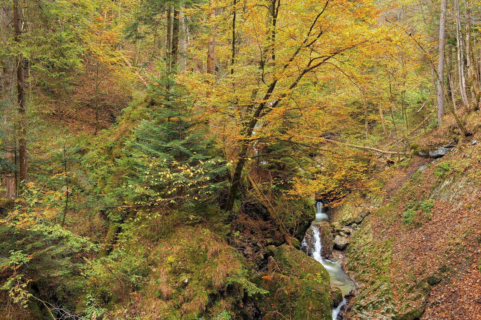 Wallpapers autumn waterfall Creek on the desktop