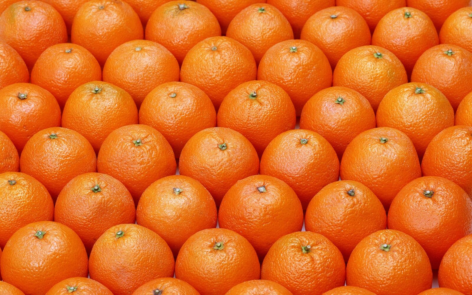 桌面上的壁纸桔子 柑橘类水果 模式