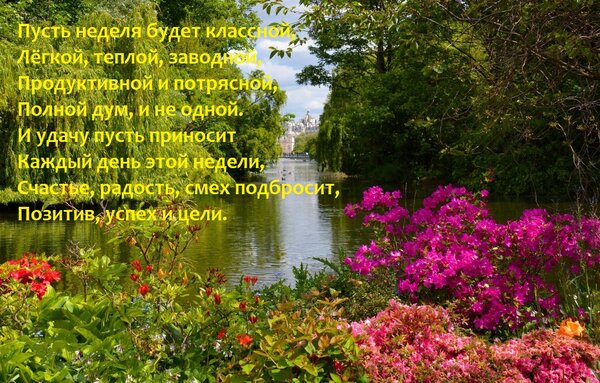 Фото бесплатно река, деревья, цветы