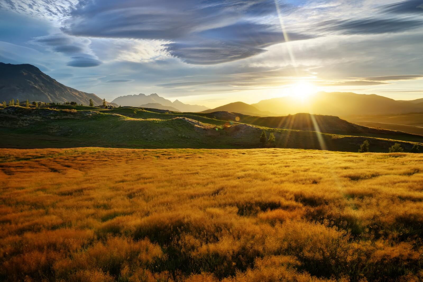 Бесплатное фото Классное солнечное утро на поле