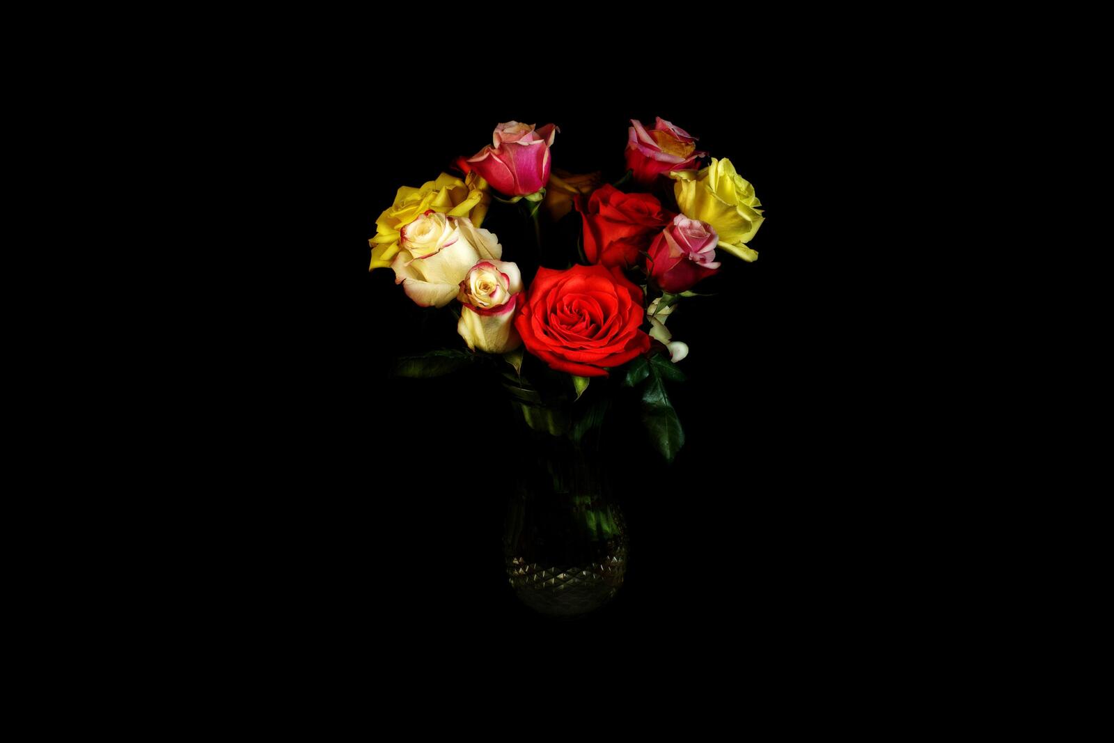 Wallpapers vase roses flora on the desktop