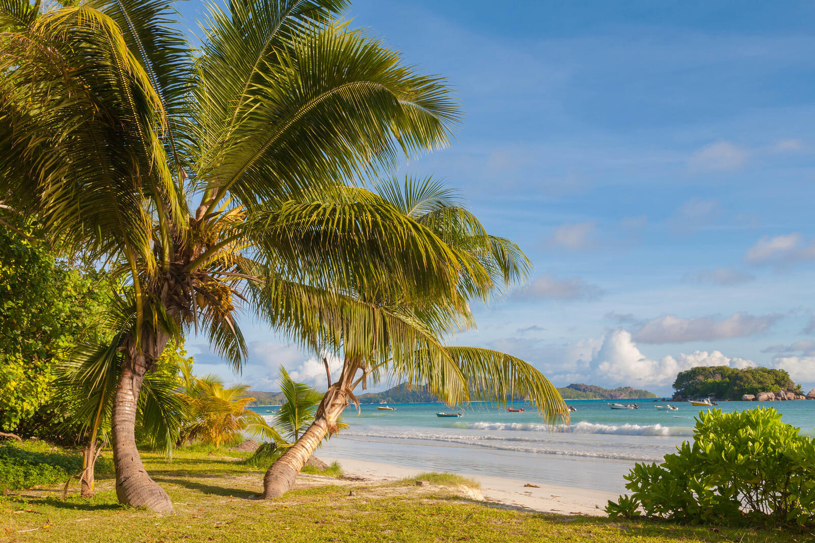 Обои Пляж Анс-Вольберт Праслин Сейшельские острова на рабочий стол