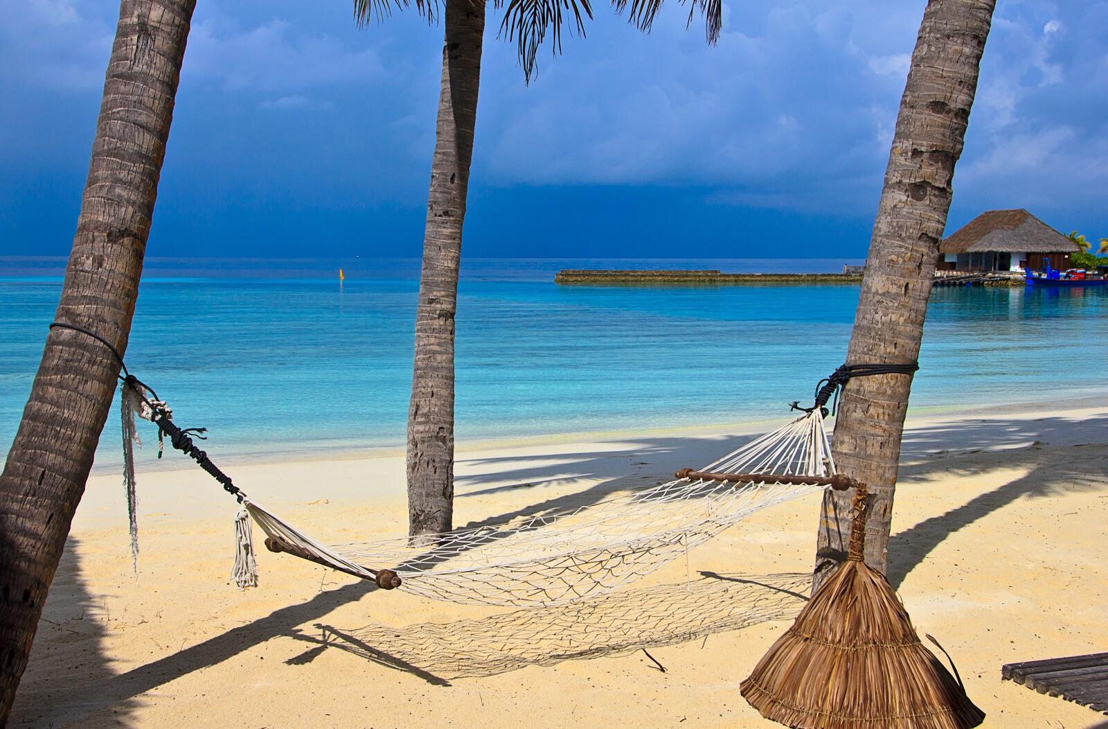 免费照片棕榈树间沙滩上的吊床