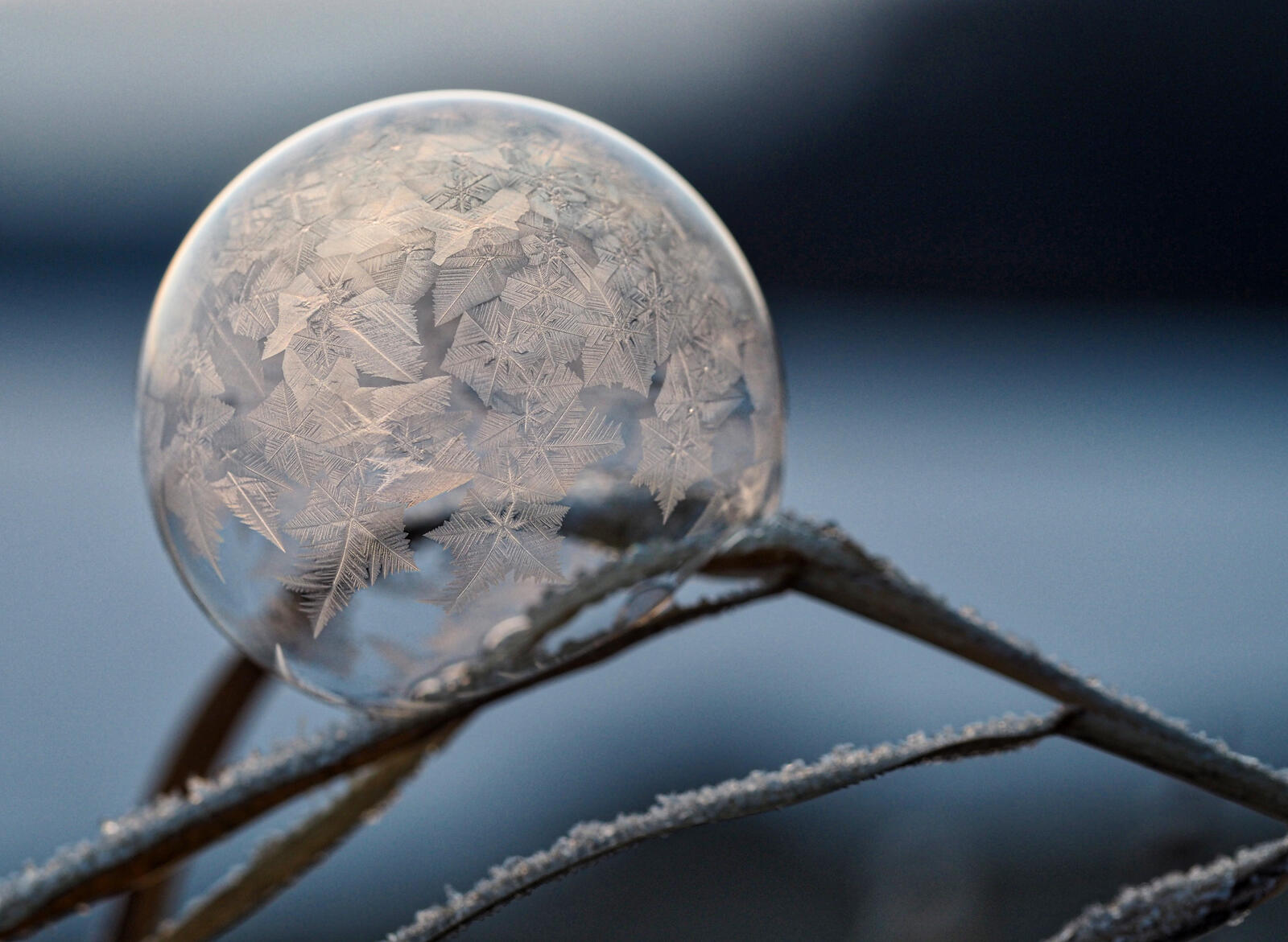 Обои замороженный пузырь пузырь лед на рабочий стол