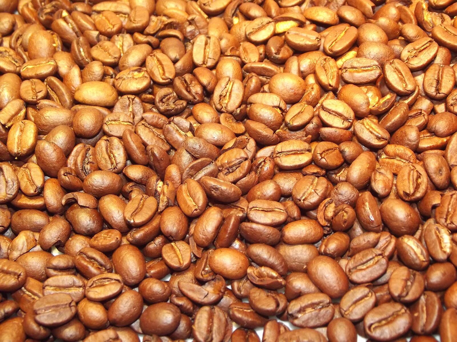 Обои кофе семена кофеин на рабочий стол