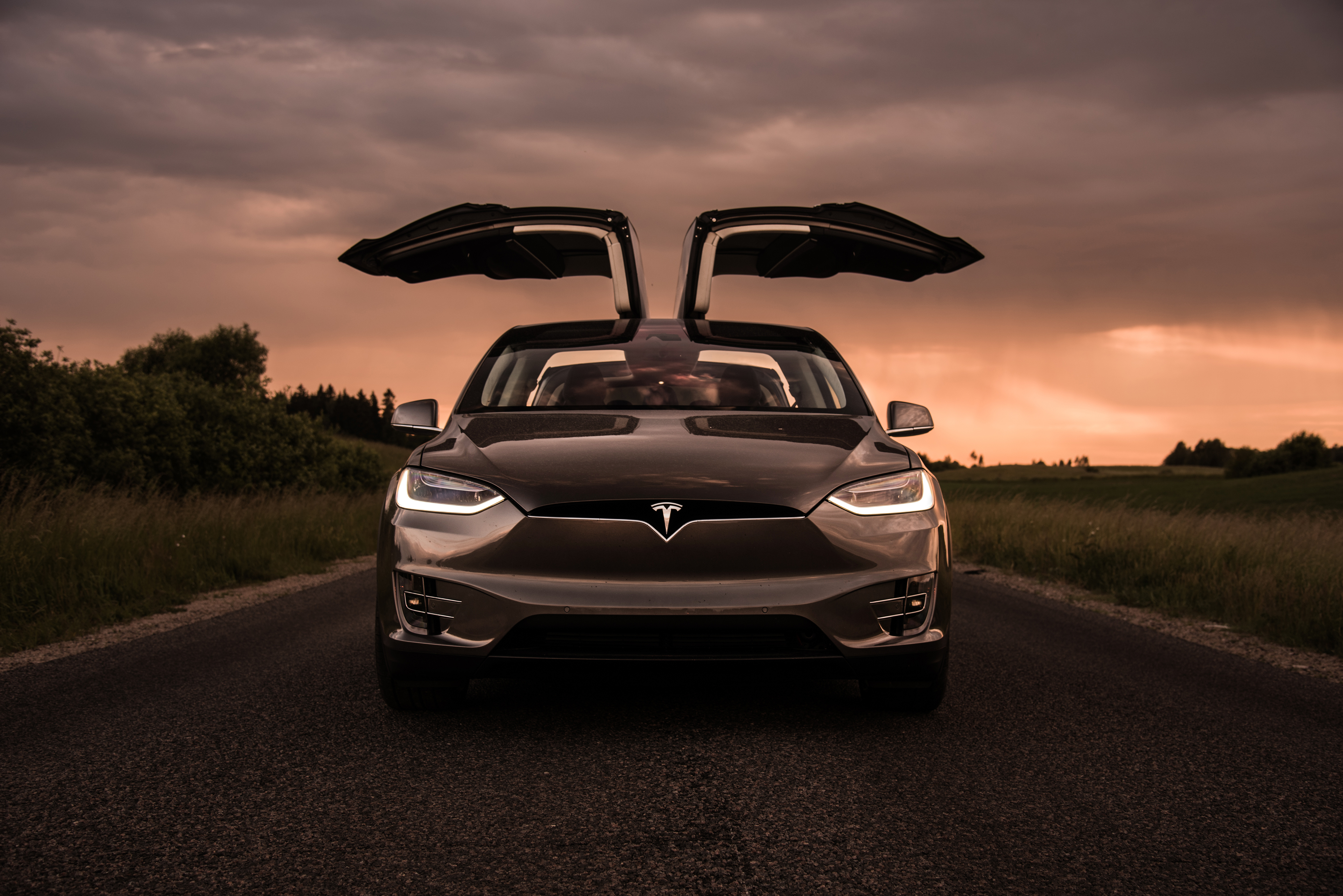 Free photo Tesla with the doors open at sunset