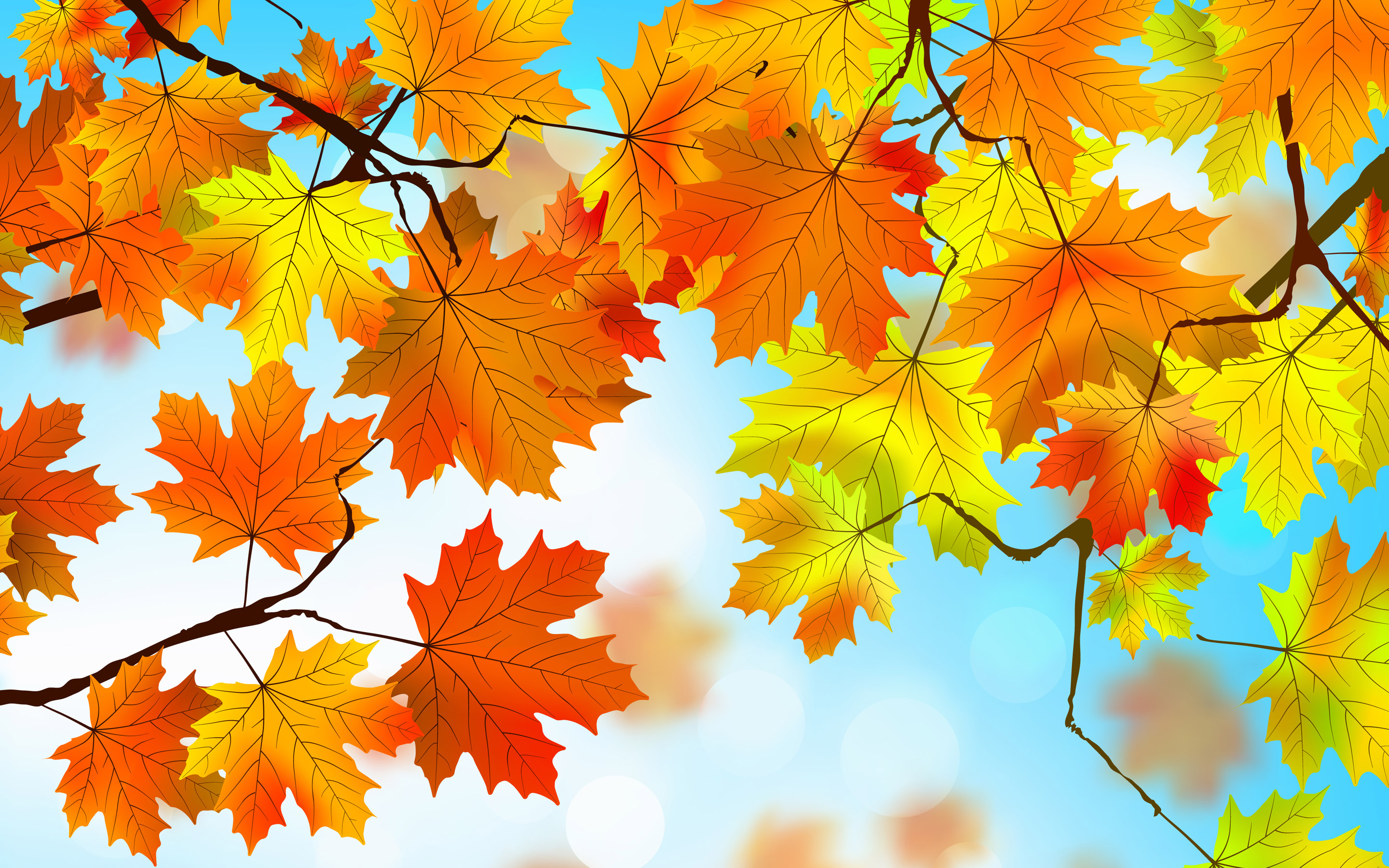 Wallpapers autumn leaves nature on the desktop