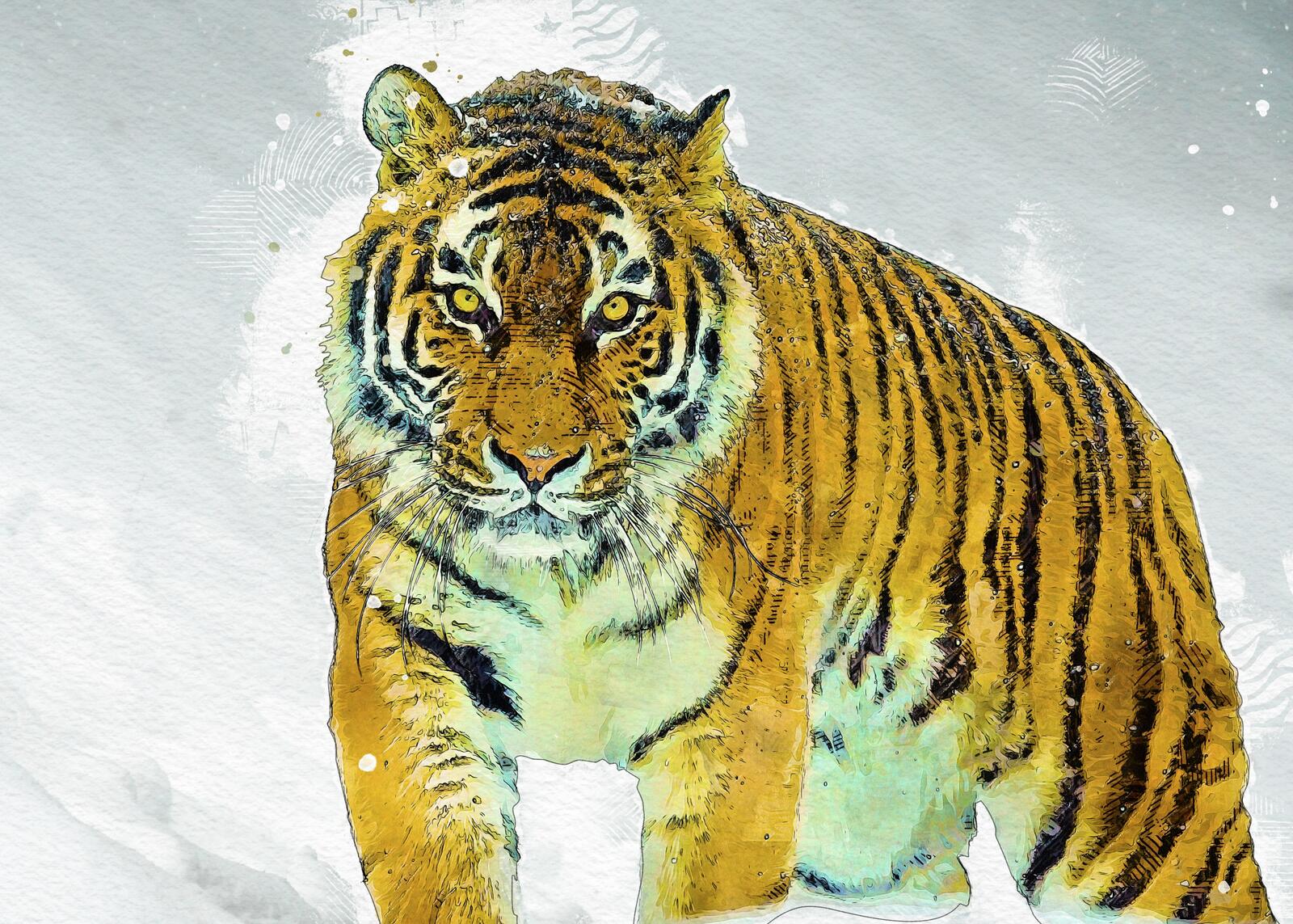 Wallpapers tiger art animal on the desktop