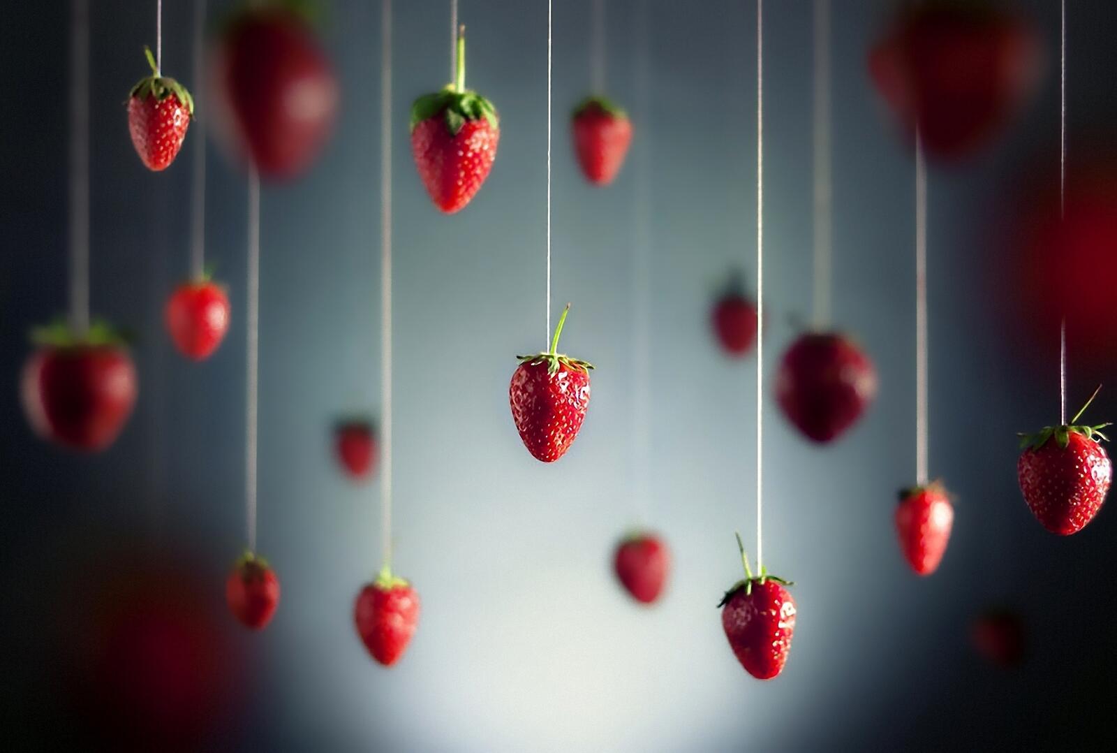 Free photo Strawberries hanging from a string.