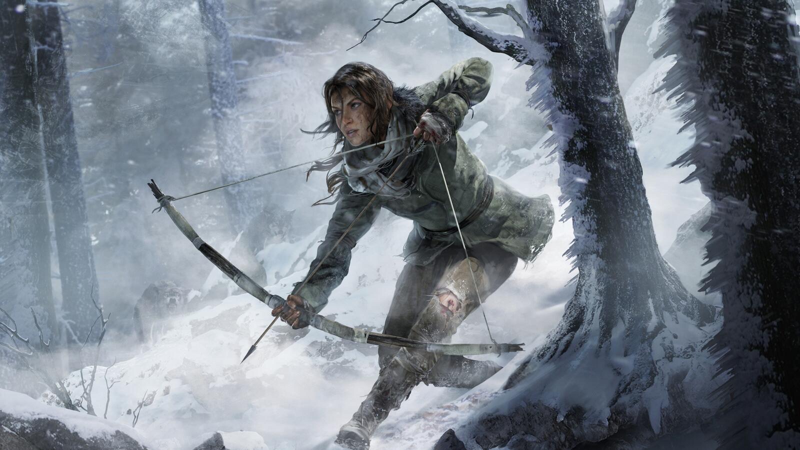 Wallpapers computer games tomb raider games on the desktop
