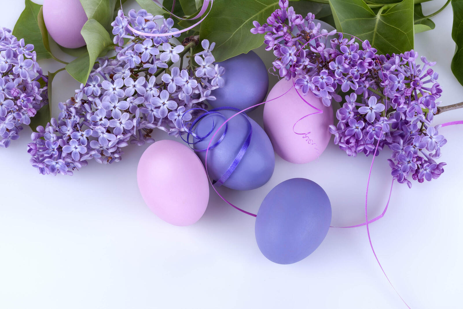 桌面上的壁纸淡紫色 彩蛋 复活节彩蛋