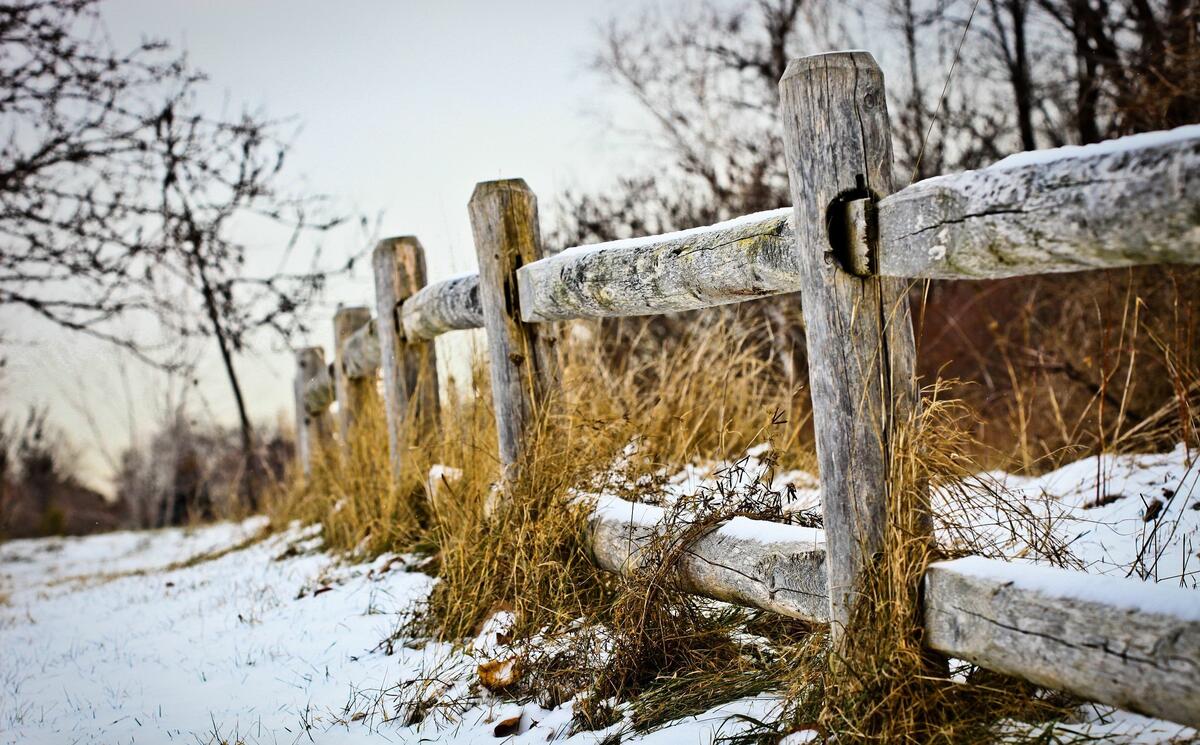 Wooden log fence in winter