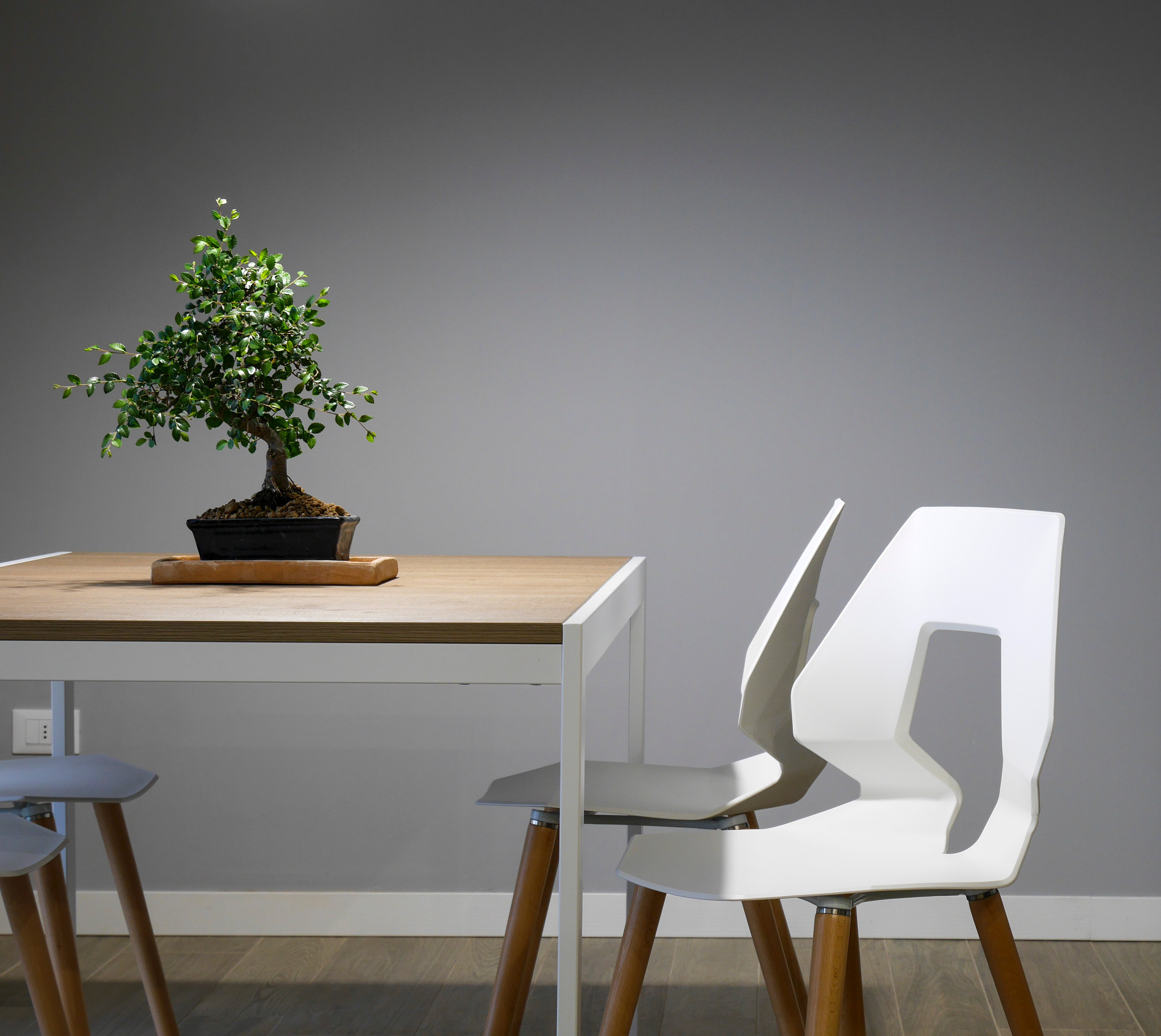 Photo free table, wood, interior