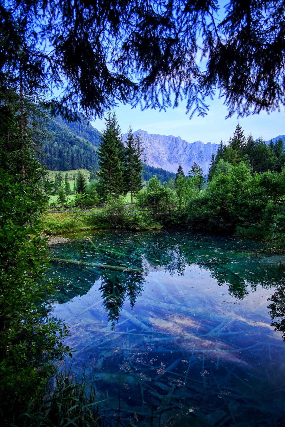 Вся природа и лес и вода. Красивое озеро. Красивая природа. Озеро в лесу. Горы лес озеро.
