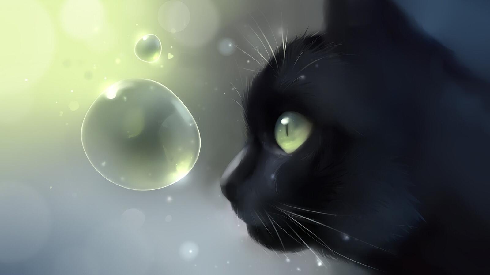 Wallpapers black cat cute artwork on the desktop
