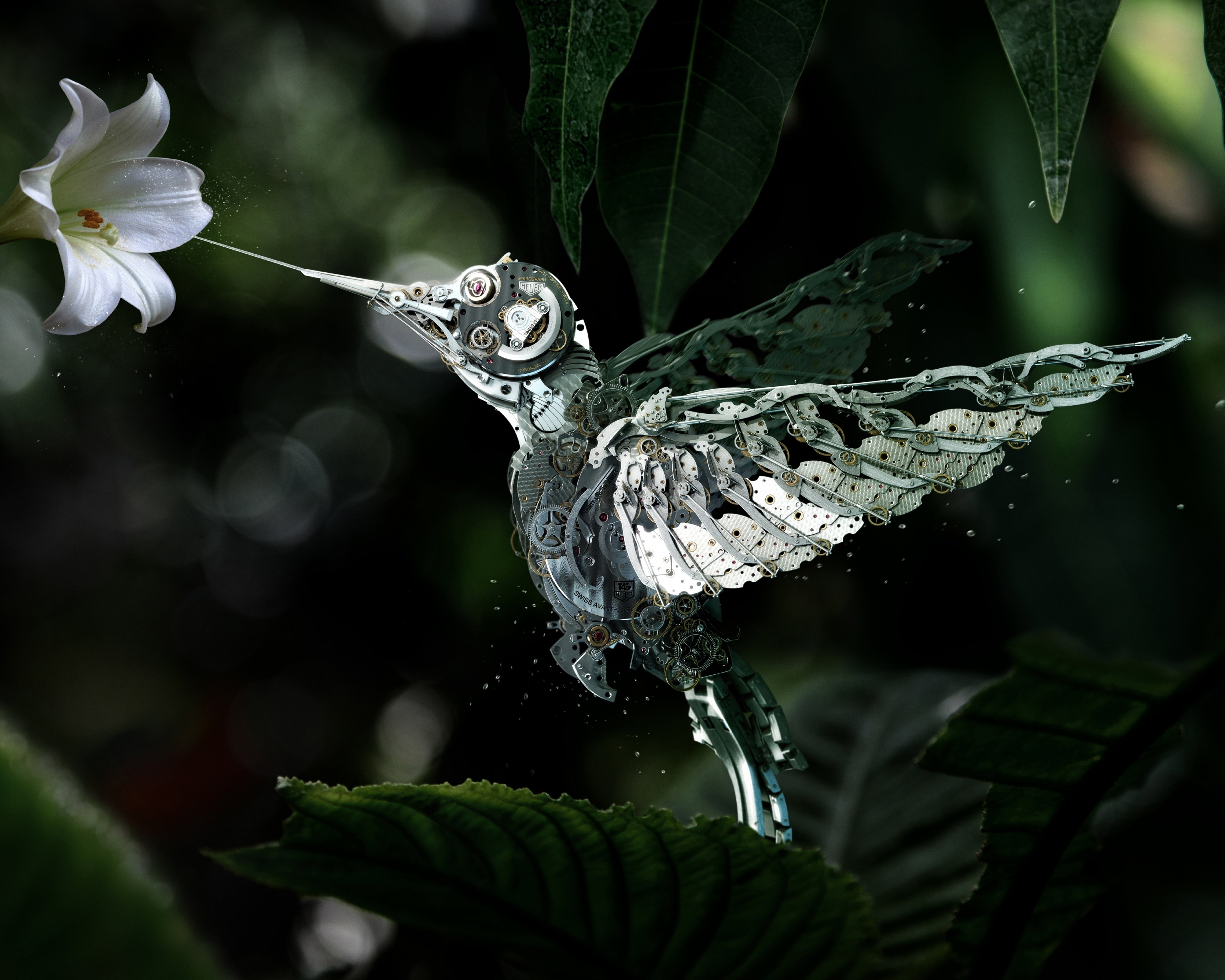Фото бесплатно листья, белый цветок, обои роботизированная птица