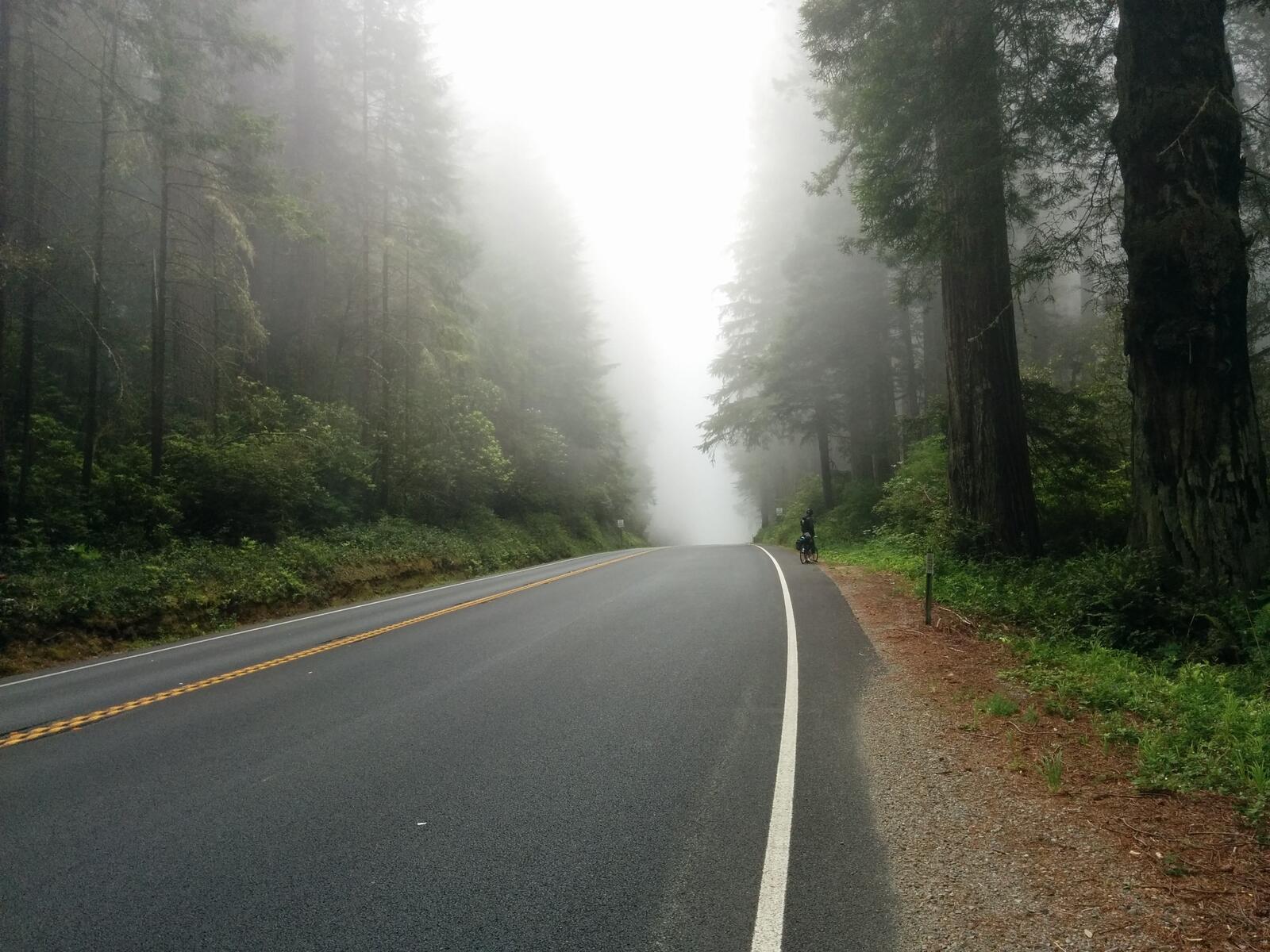 Wallpapers road trip fog atmospheric phenomenon on the desktop