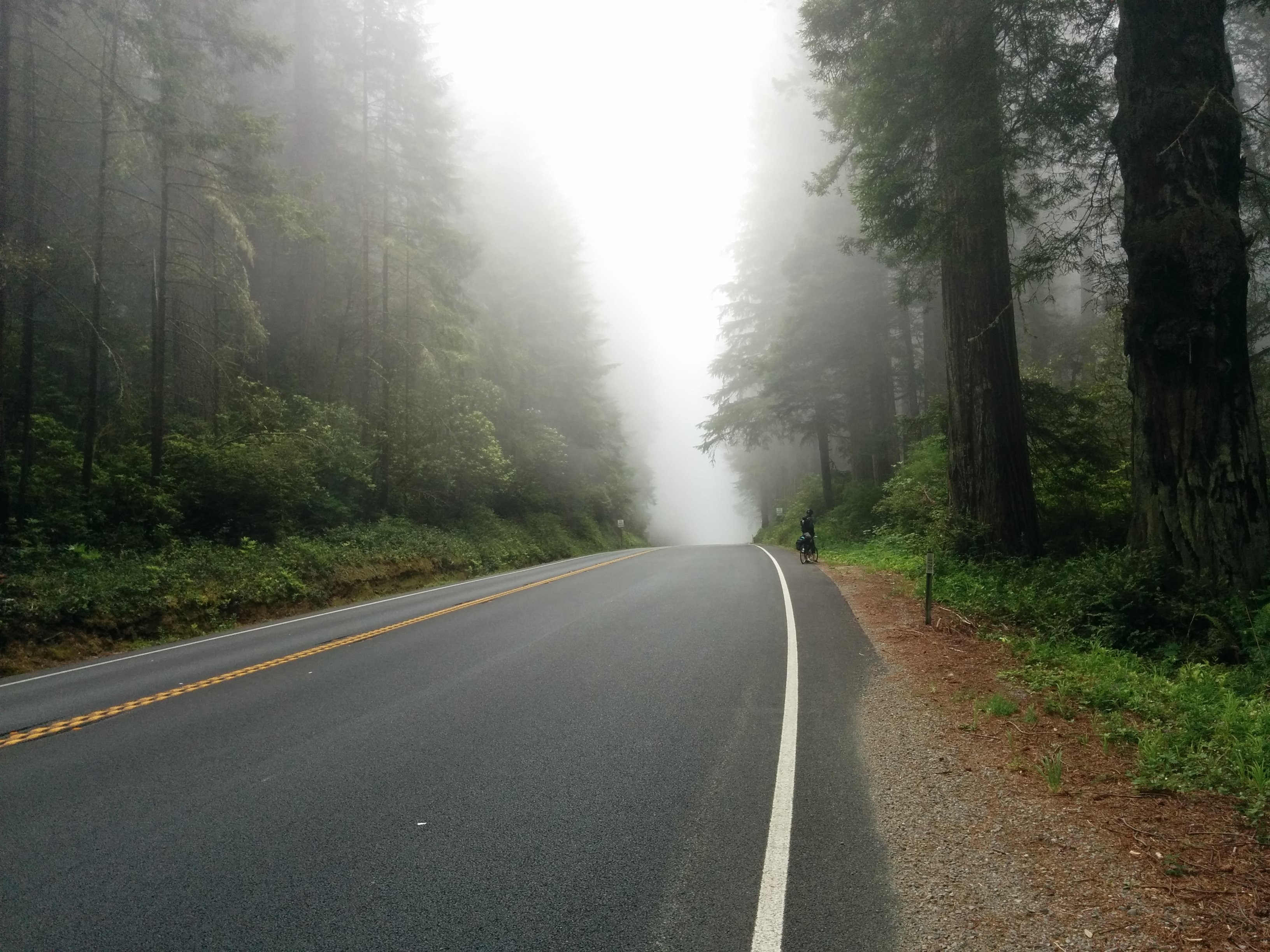 Фото бесплатно путешествие, туман, атмосферное явление