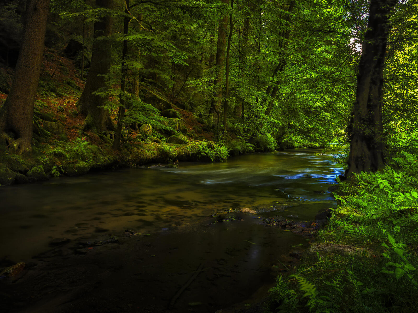 Обои река в лесу пейзаж зеленые листья на рабочий стол