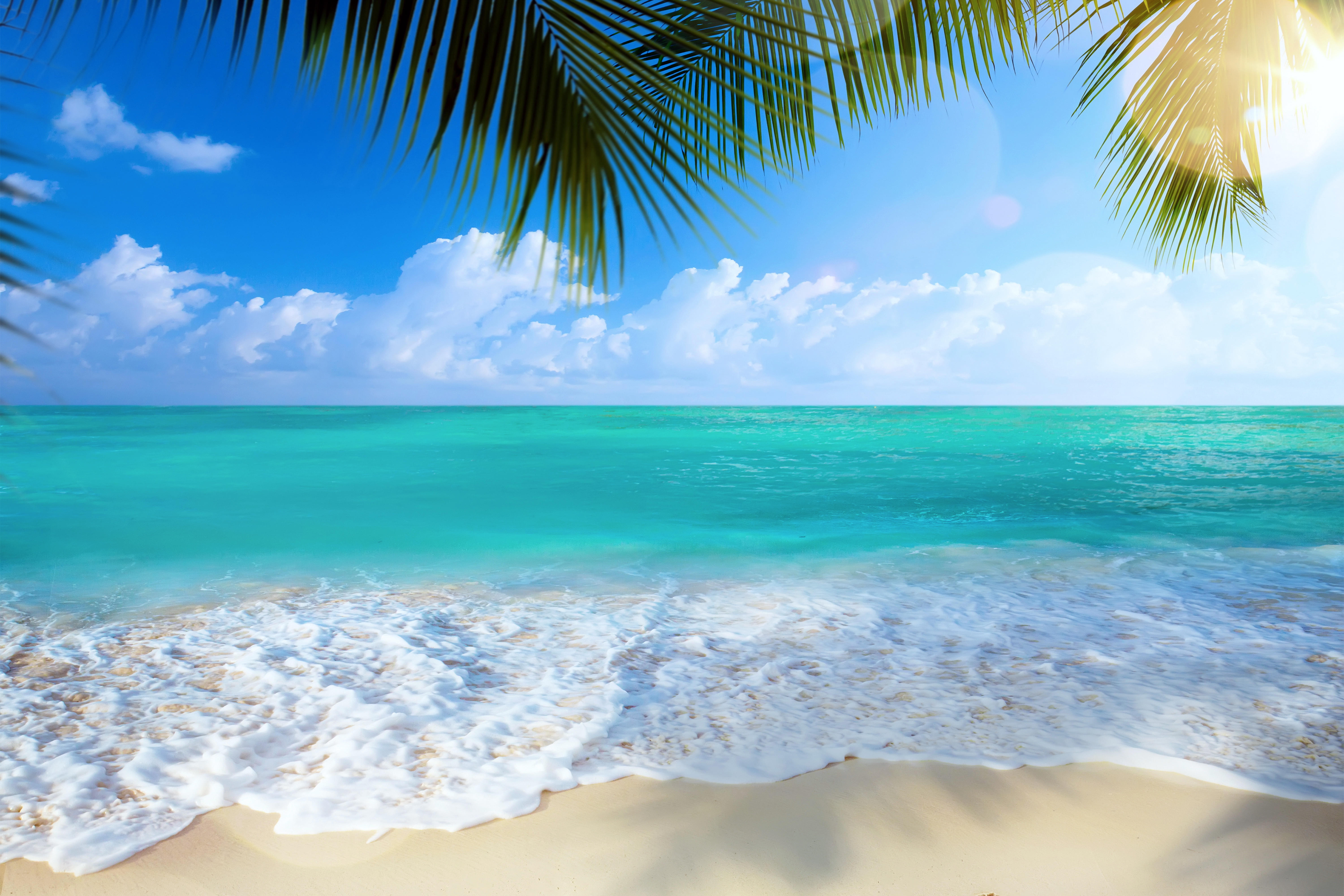 берег волны пляж пальмы скачать