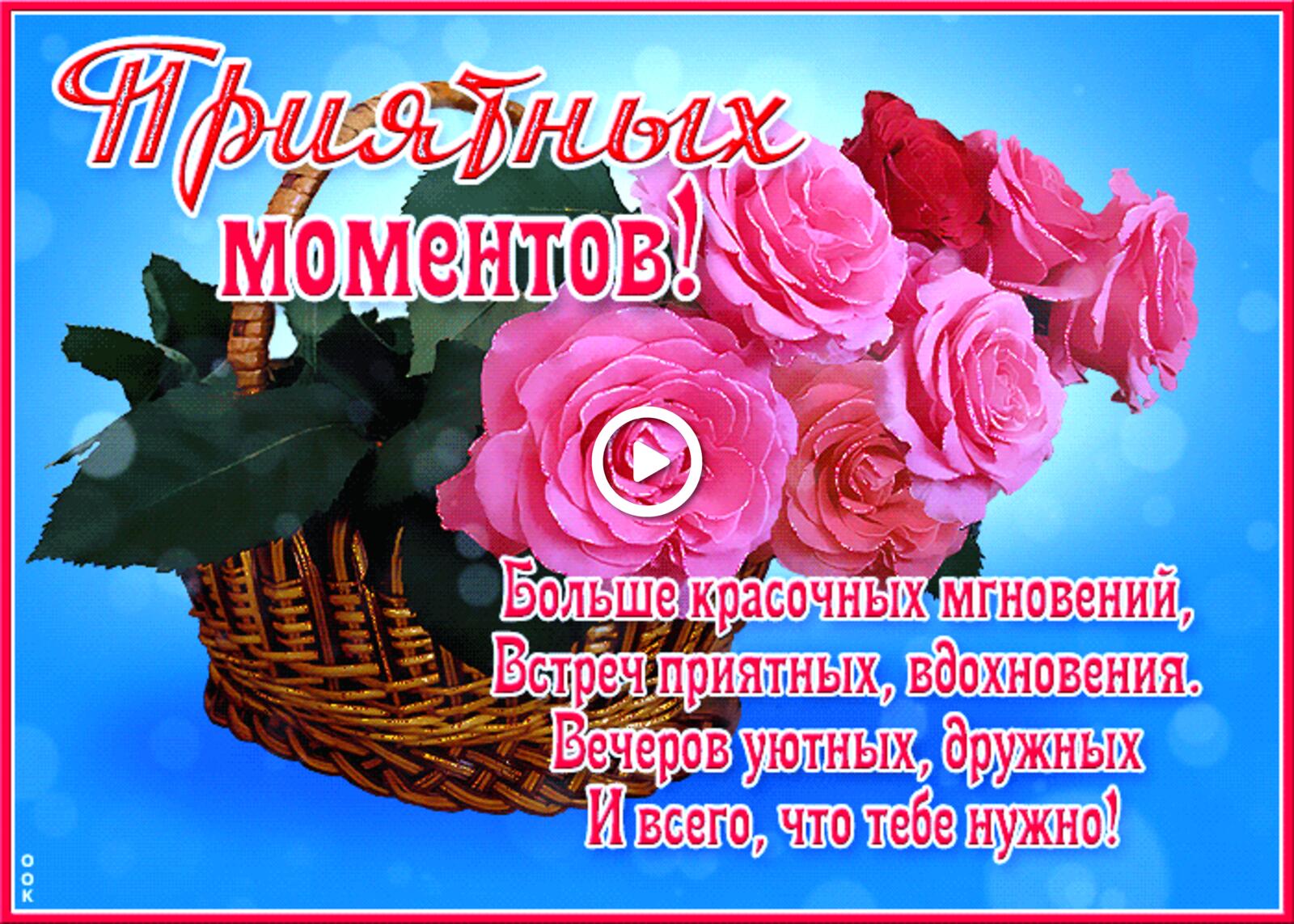 A postcard on the subject of shiny picture with flowers pink roses nice moments for free