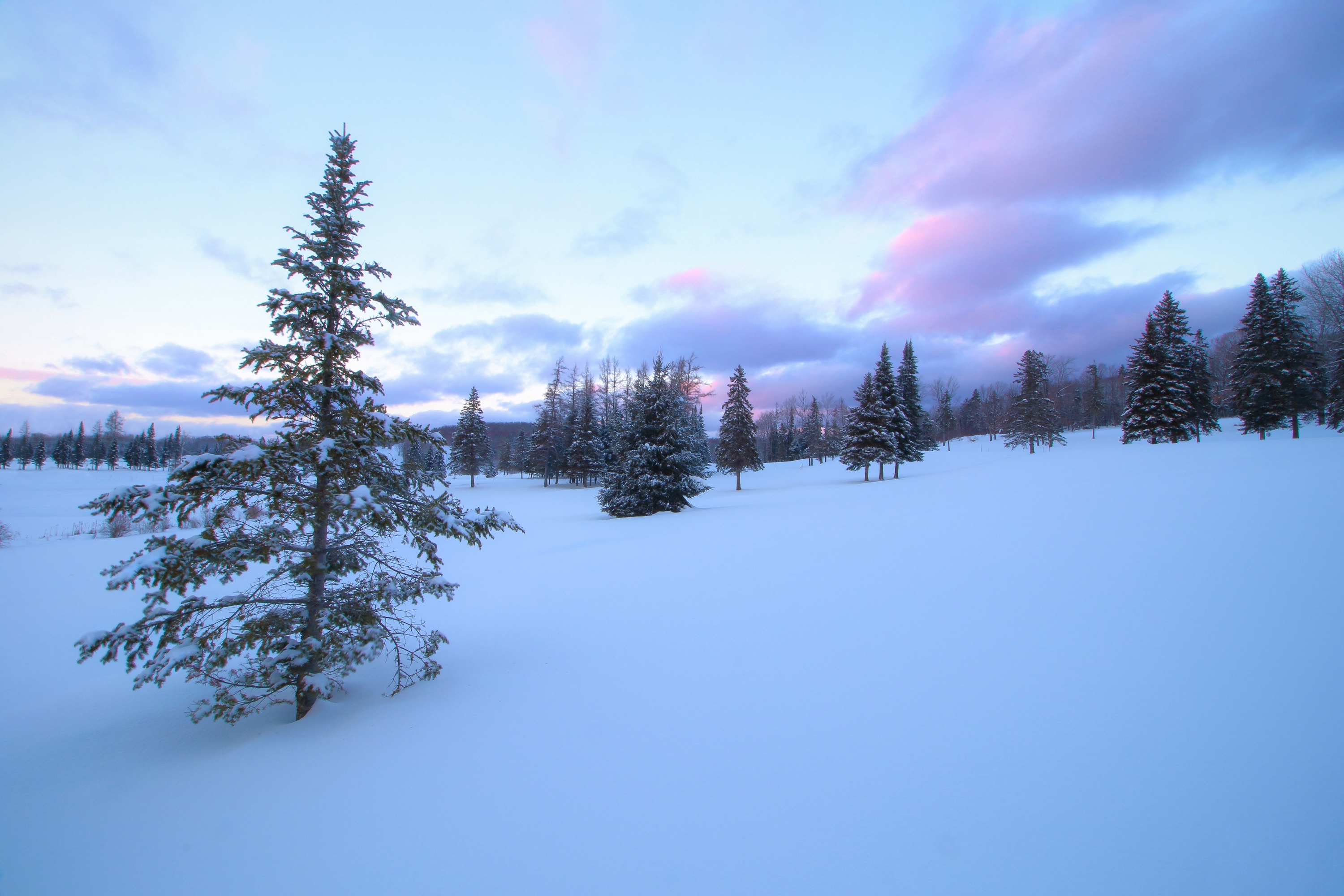 Фото бесплатно облака, снег на поле, деревья