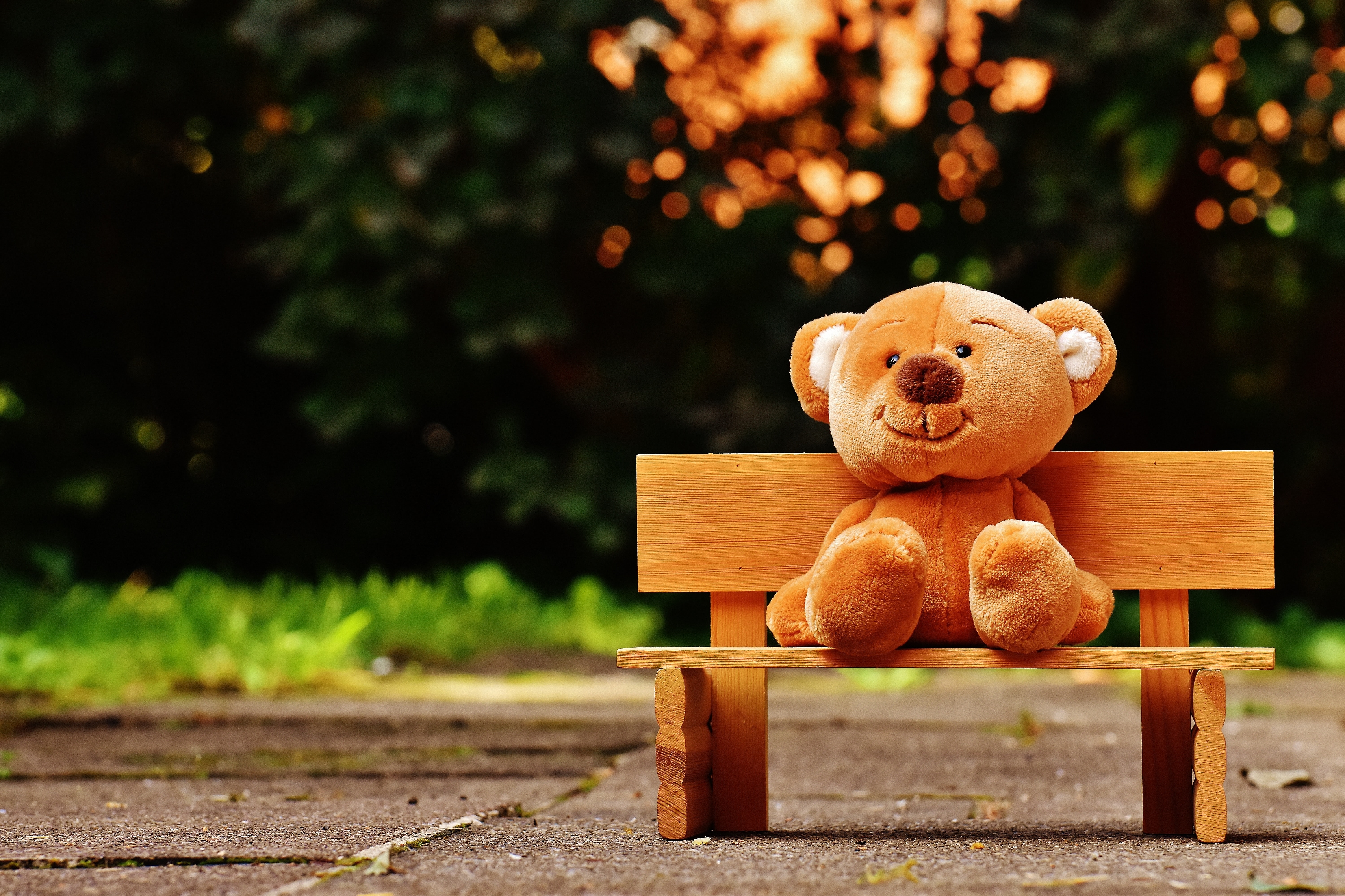 免费照片一只泰迪熊坐在长椅上。