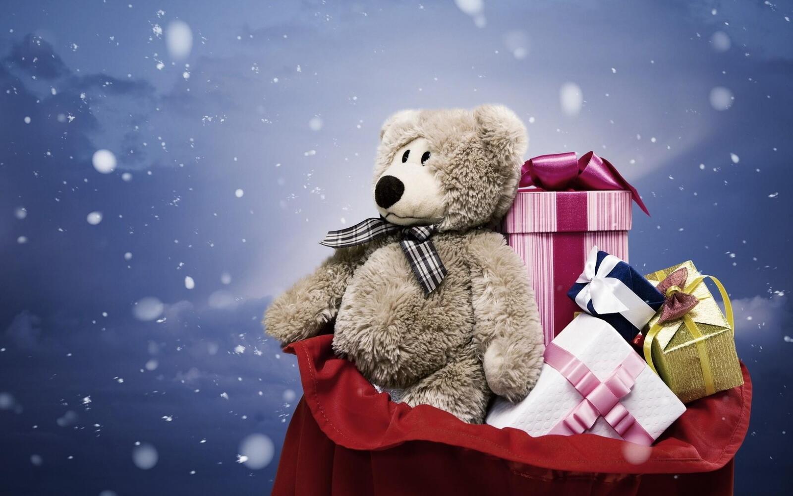 Wallpapers bear soft toy cuddly toy on the desktop