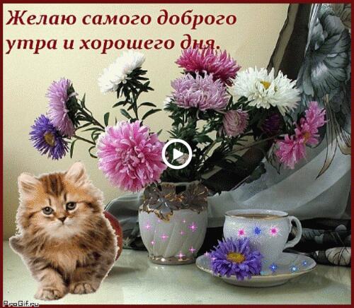 i wish you a good morning and a good day a cup flowers