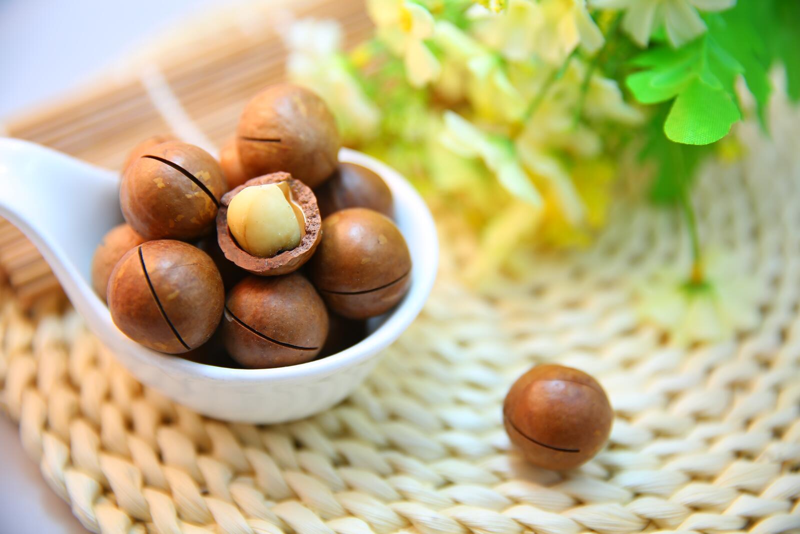 Wallpapers food product nut on the desktop