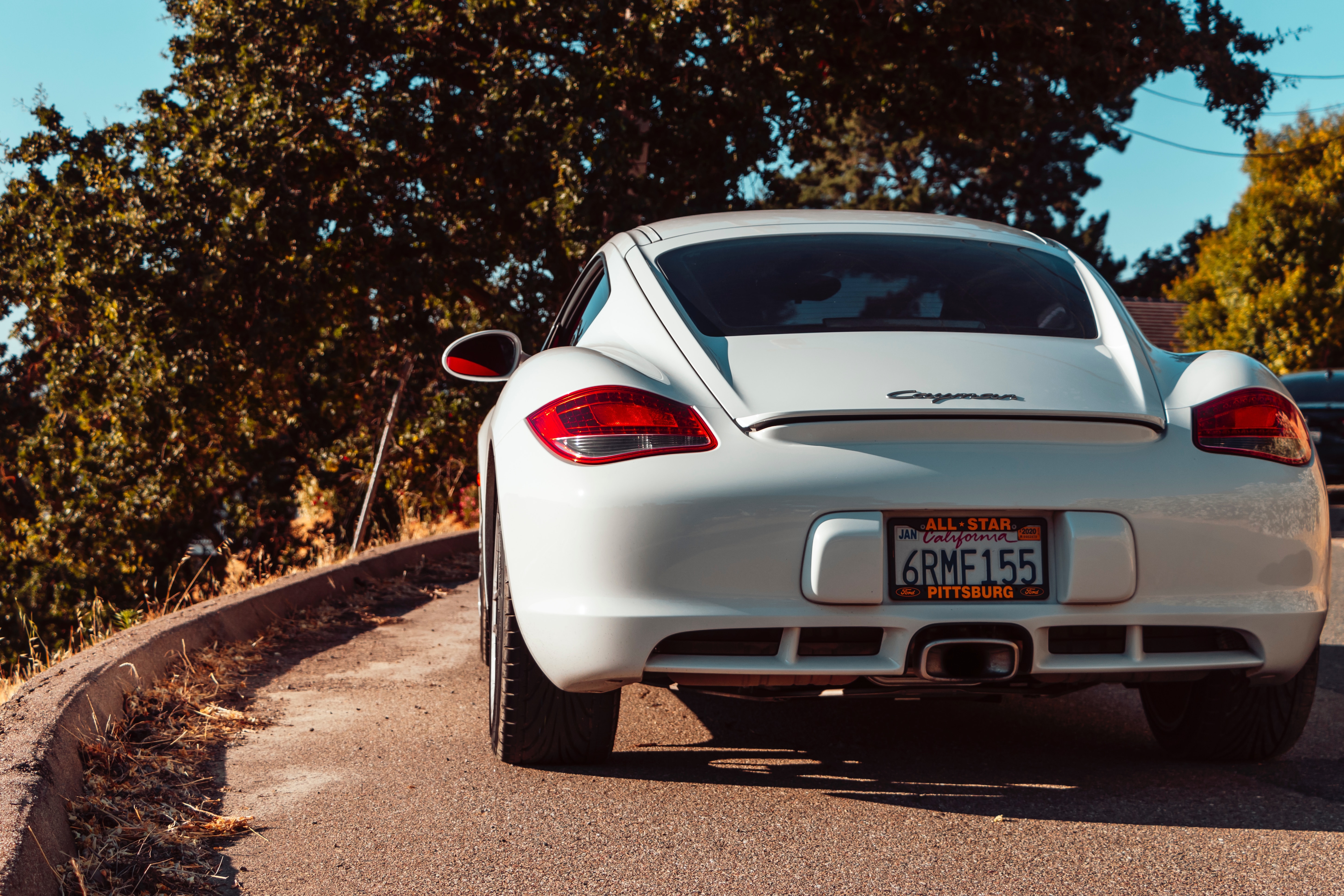 Wallpapers Porsche Cayman view from behind trees on the desktop