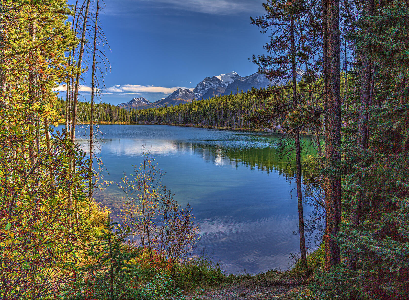 Wallpapers lake mountains forest trees nature on the desktop