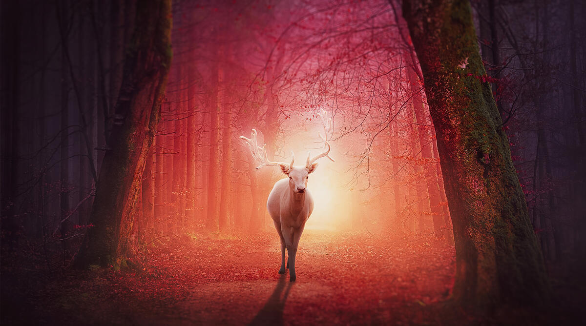 A deer in a magical forest