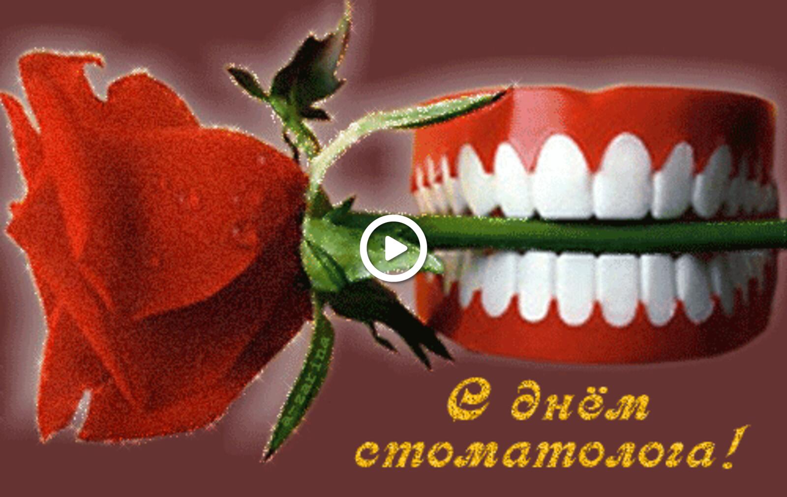 Открытка на тему день стоматолога челюсть анимация бесплатно