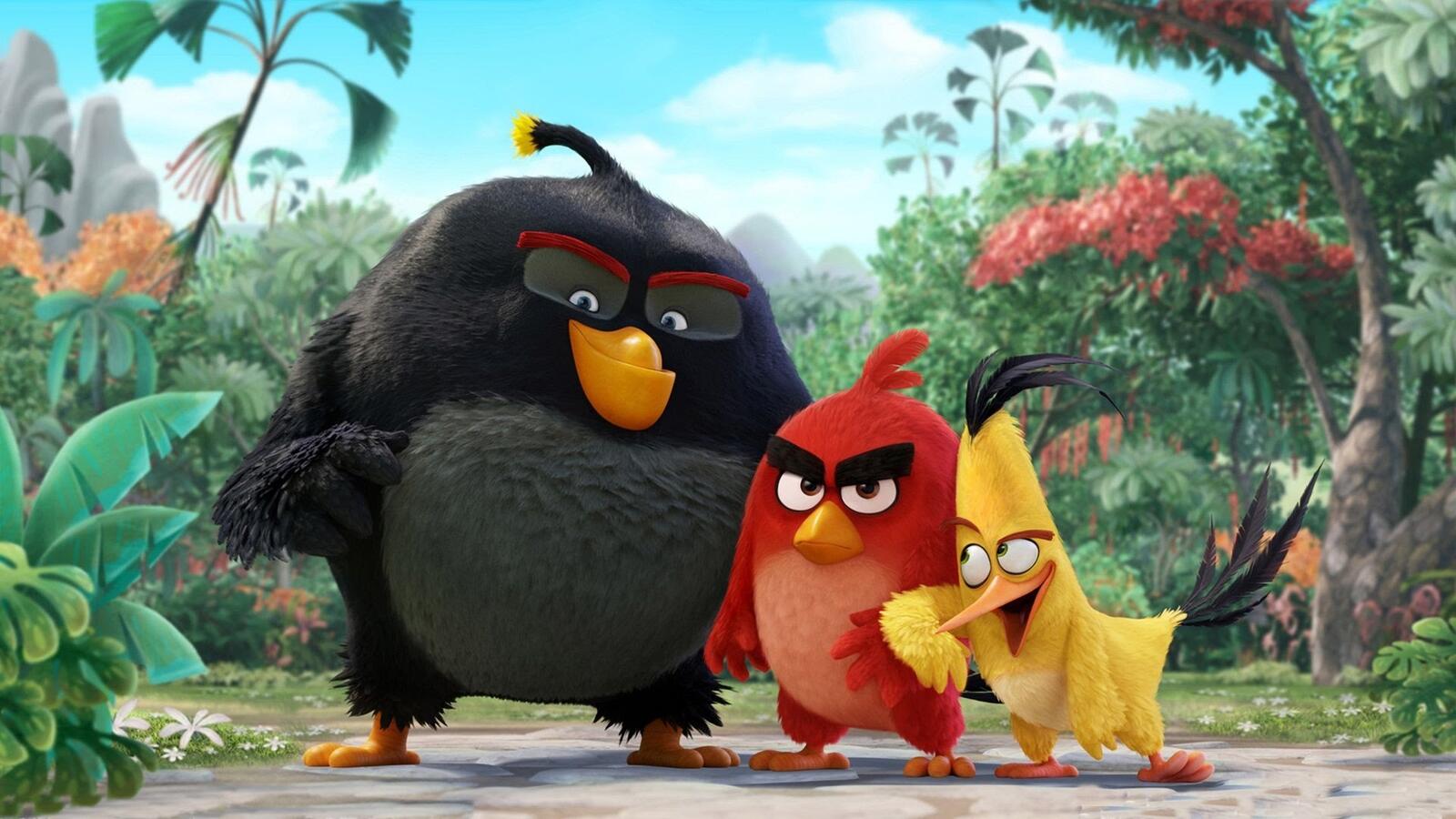 Wallpapers animation wallpaper angry birds the movie cartoons on the desktop