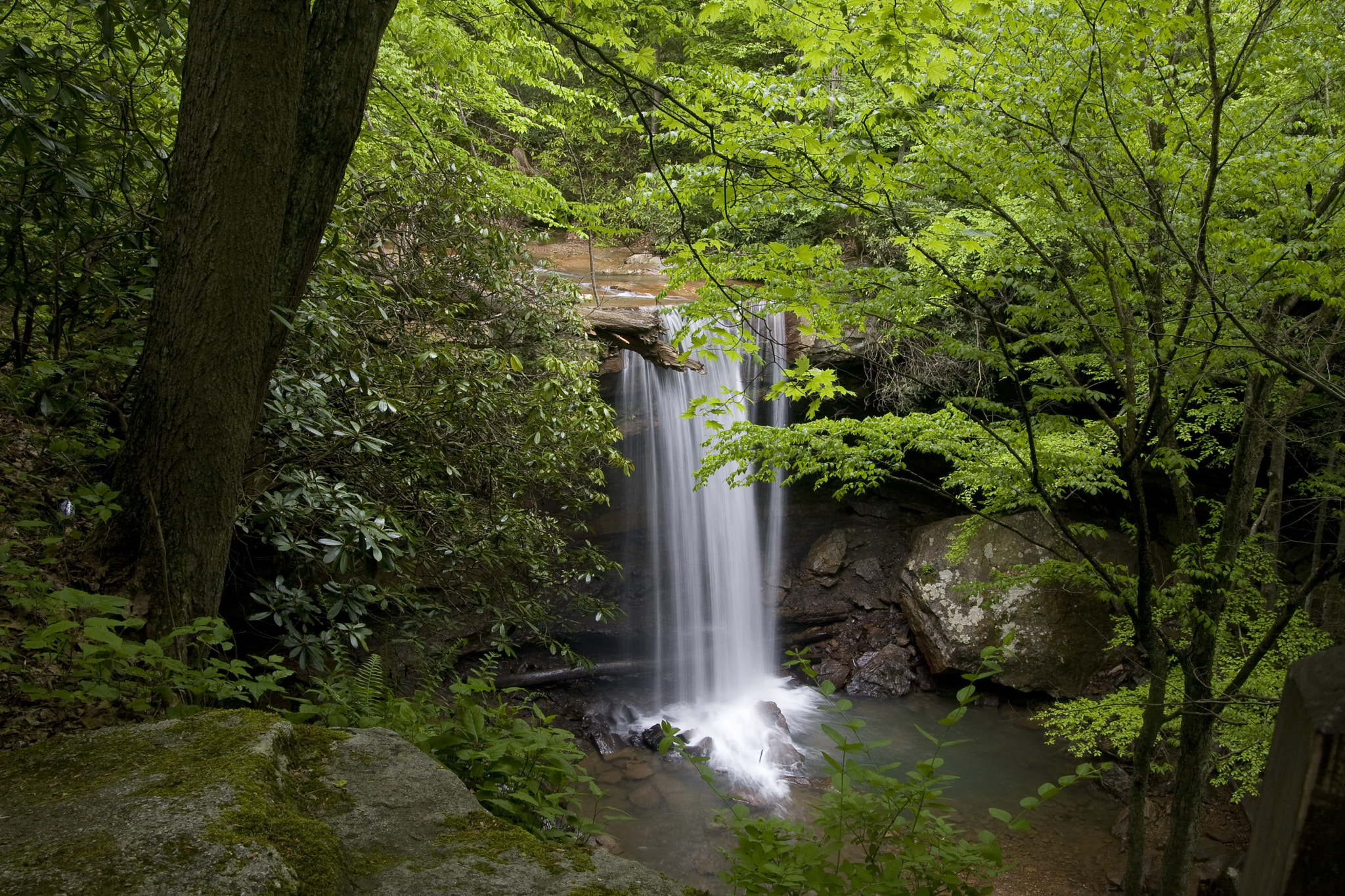 Обои водопад в лесу скалы деревья на рабочий стол