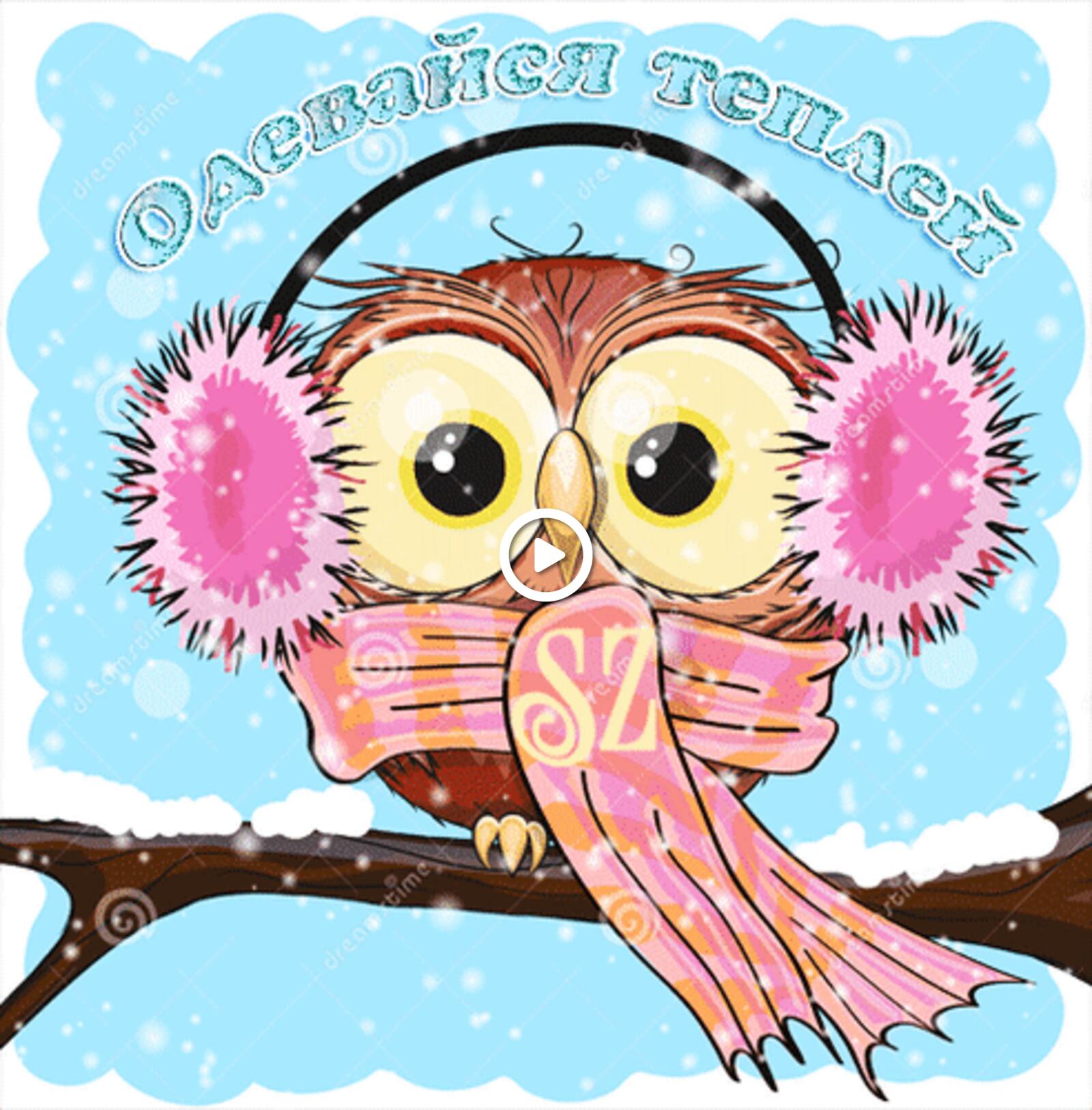A postcard on the subject of winter owl snow for free