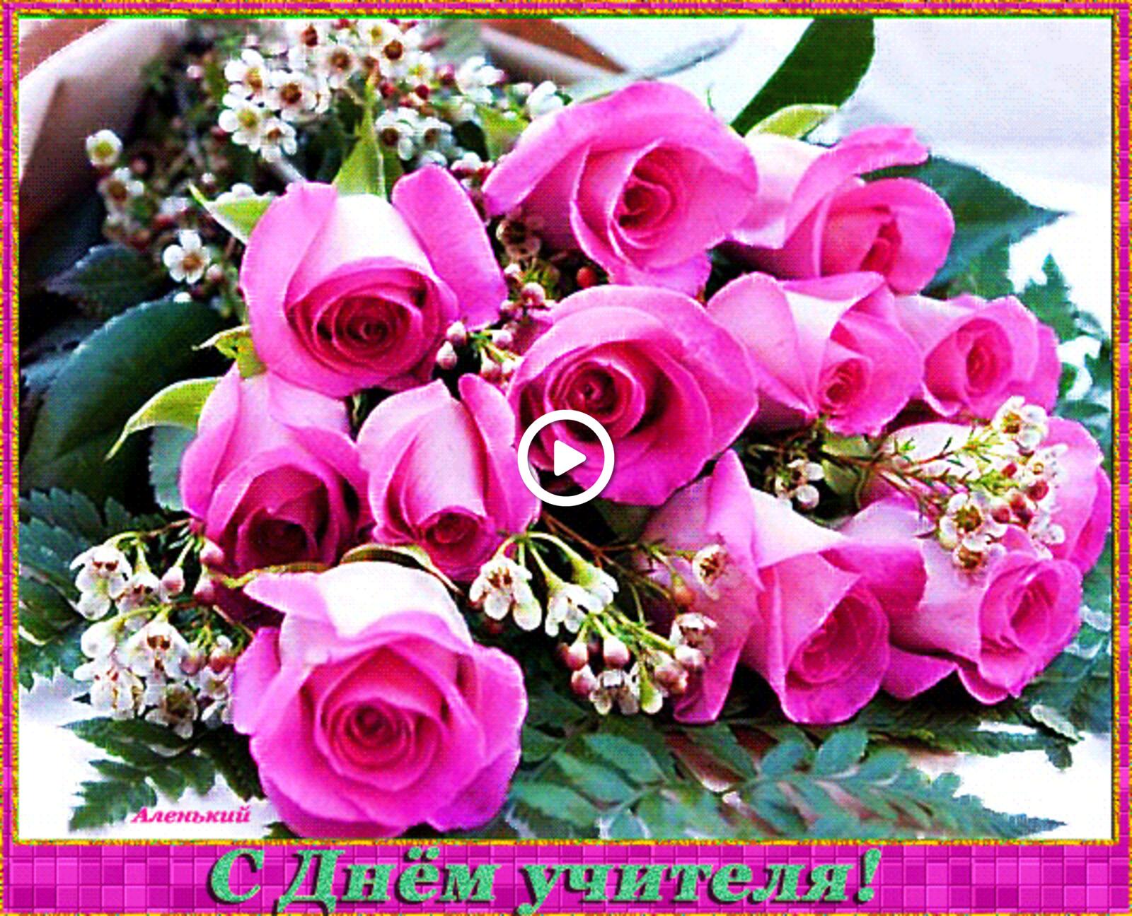 一张以玫瑰 鲜花 粉红玫瑰为主题的明信片
