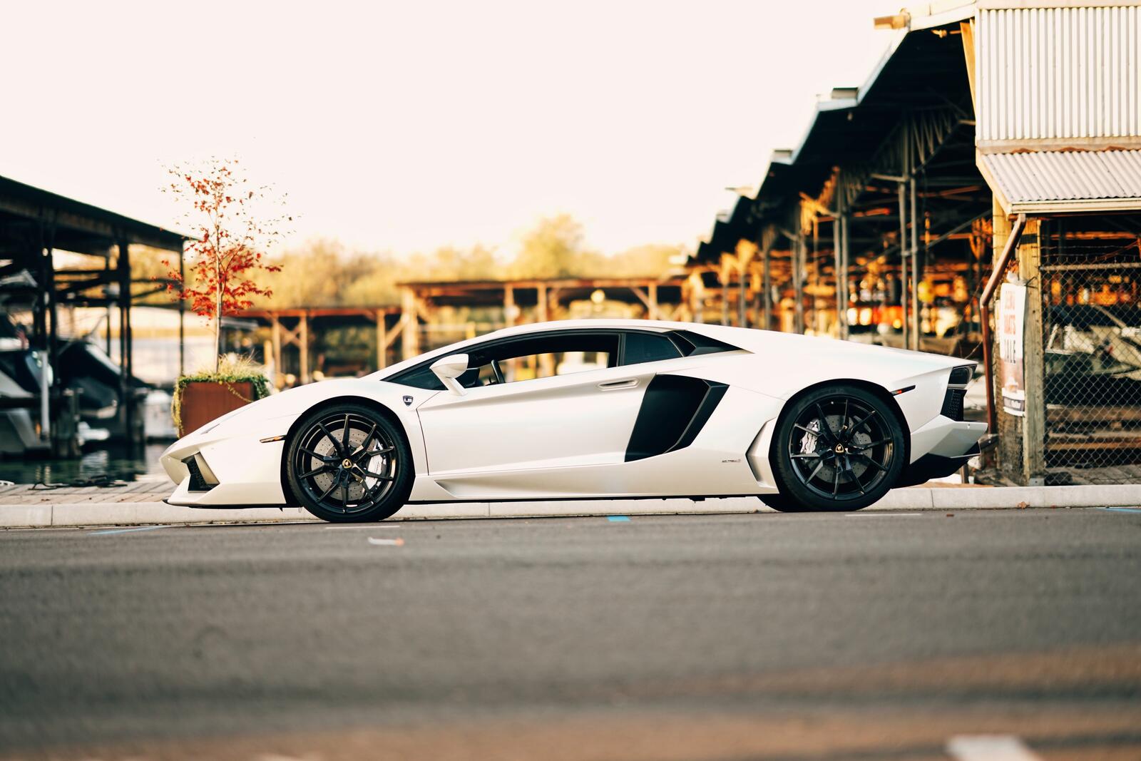 Wallpapers Lamborghini stands sideways white car on the desktop