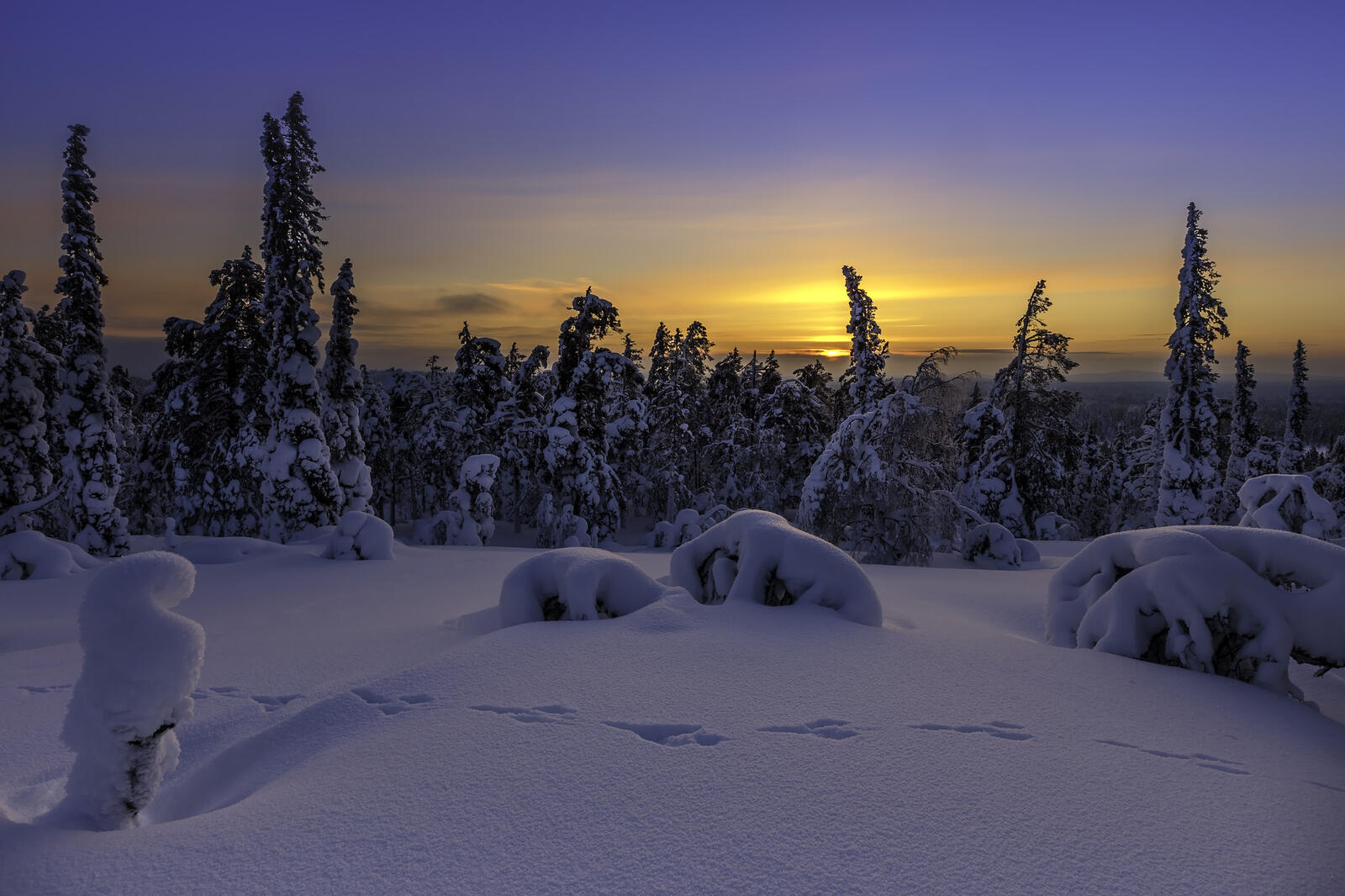 Wallpapers drifts nature Finland on the desktop