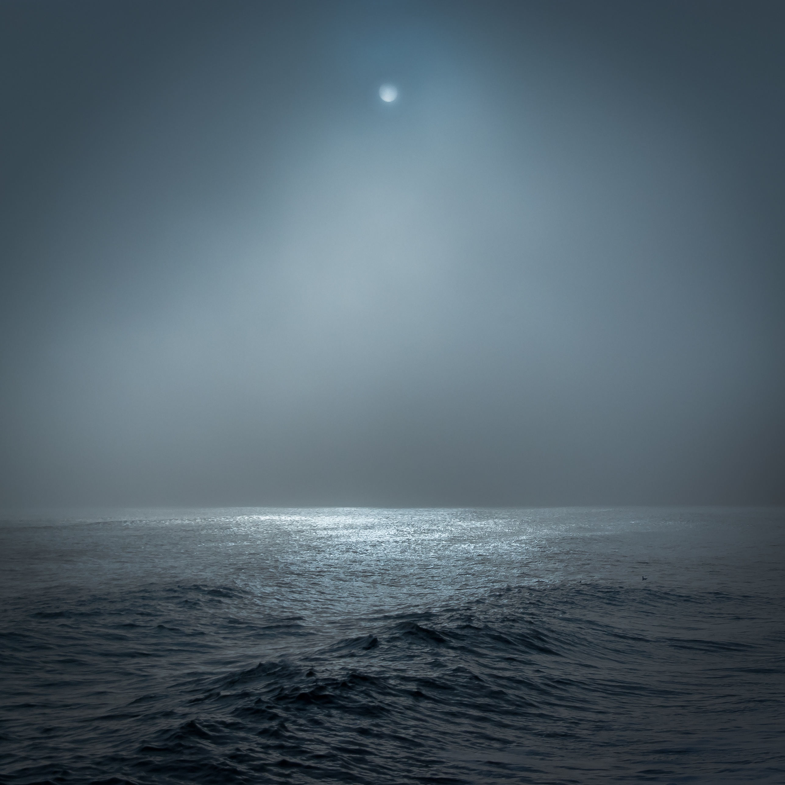 Фото бесплатно океан, лунный свет, пейзажи