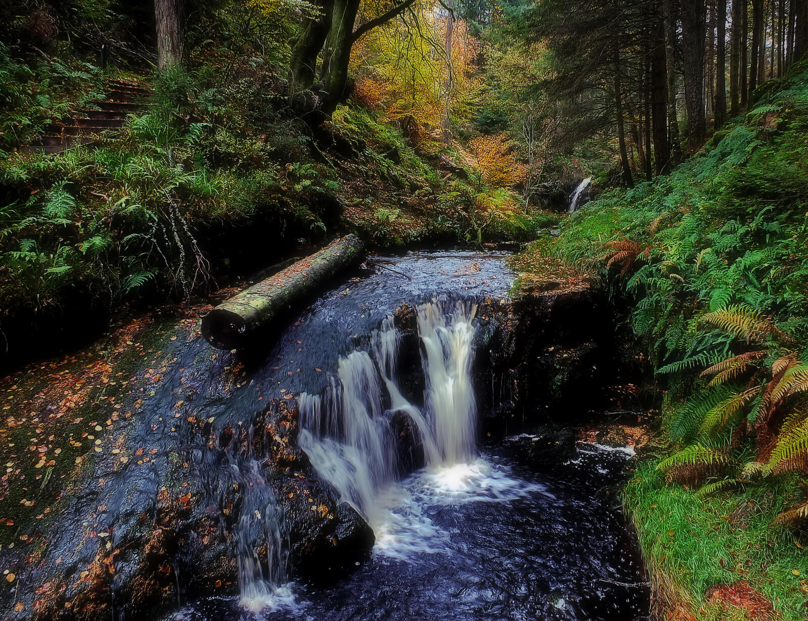 Wallpapers waterfall in the forest cobblestones summer on the desktop