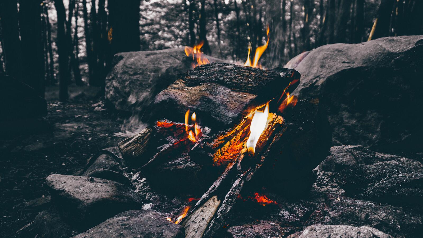 Wallpapers flames fire campfire on the desktop