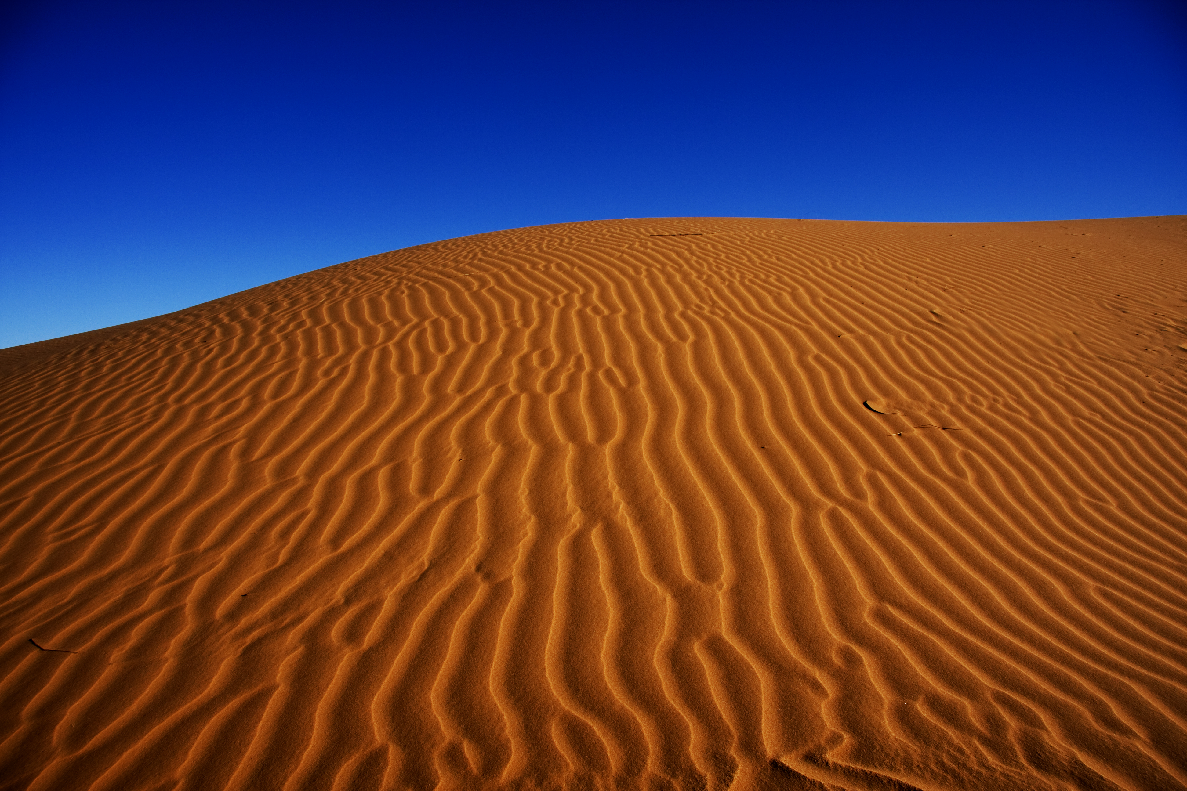 Wallpapers sand dunes clear skies on the desktop