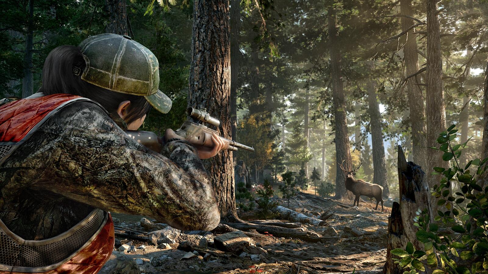 Wallpapers far cry 5 forest hunt on the desktop