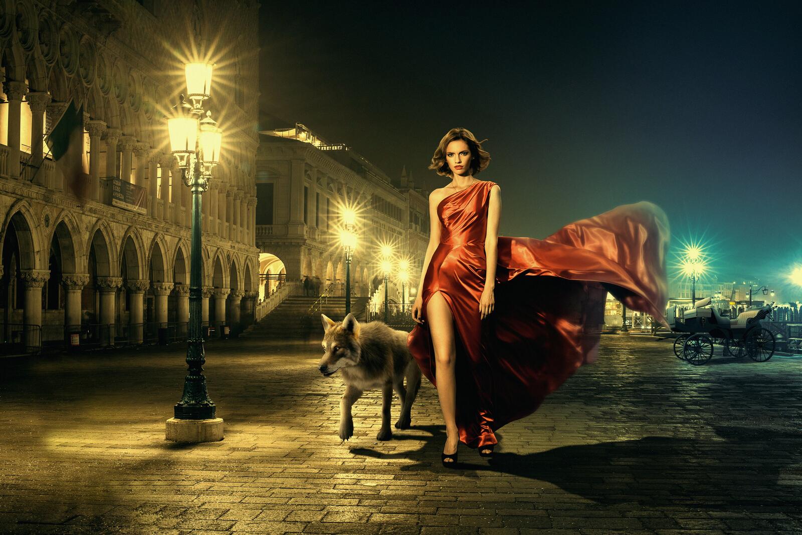Бесплатное фото Девушка и волк в ночном городе